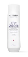 Goldwell Dualsenses Just Smooth Taming Shampoo 250 ml