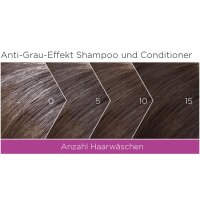 Alcina Grey Hair Dont Care Anti-Grau Effekt Shampoo, 200ml
