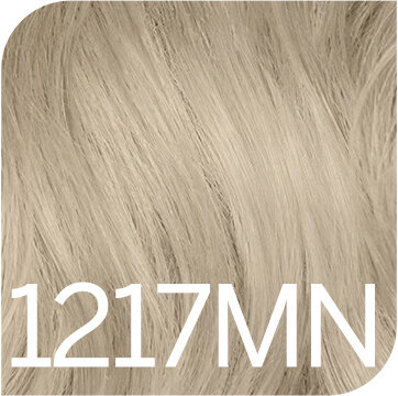 1217 MN Intense Blonde Bronze Grau Maximal Neutralisierend