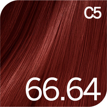 66.64 Dunkelblond Rot Kupfer Intensiv